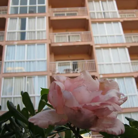 Appartement El Velero *